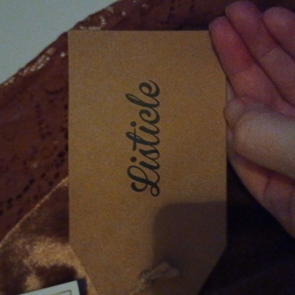 Velvet long sleeved lace sleeves.  The color is brick. - Picture 8 of 9